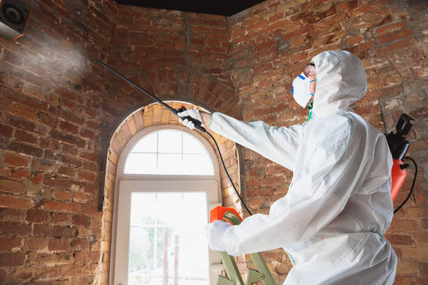 Best Commercial Mold Inspection  in Ketchum, ID